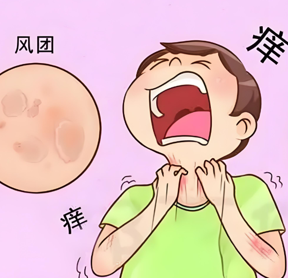 ݡԳԼ𣿷жϣäĿɿ